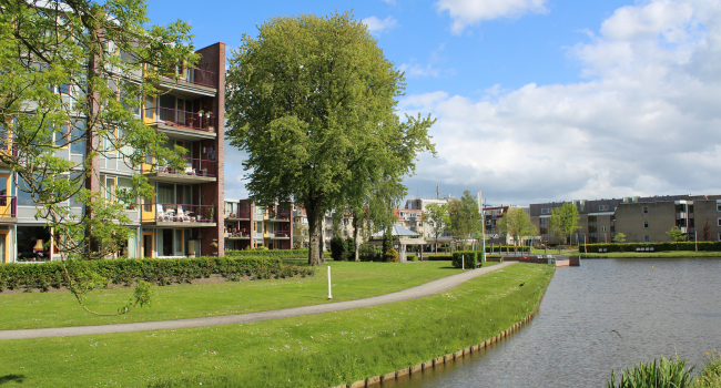 Avondlicht Hoorn
